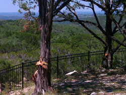 If it's a custom designed gate or a plain metal ranch gate, we can accommodate your gate needs.